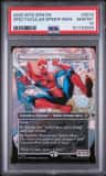 Spectacular Spider-Man