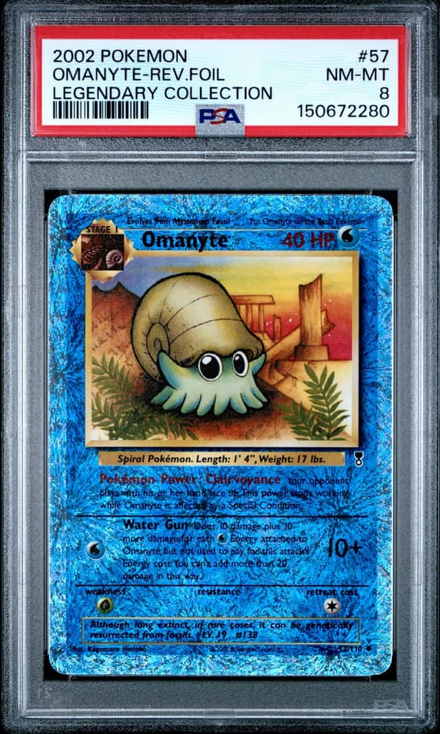 Omanyte