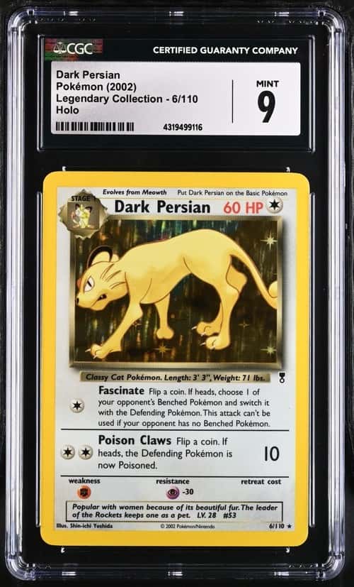 Dark Persian