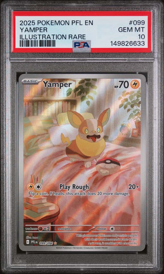 Yamper