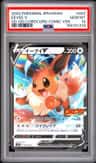 Eevee V