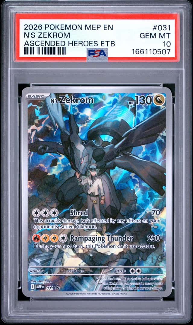 N's Zekrom
