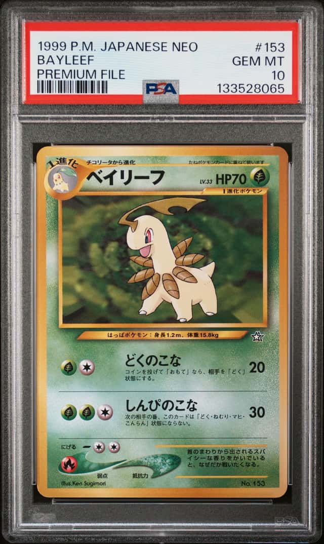 Bayleef