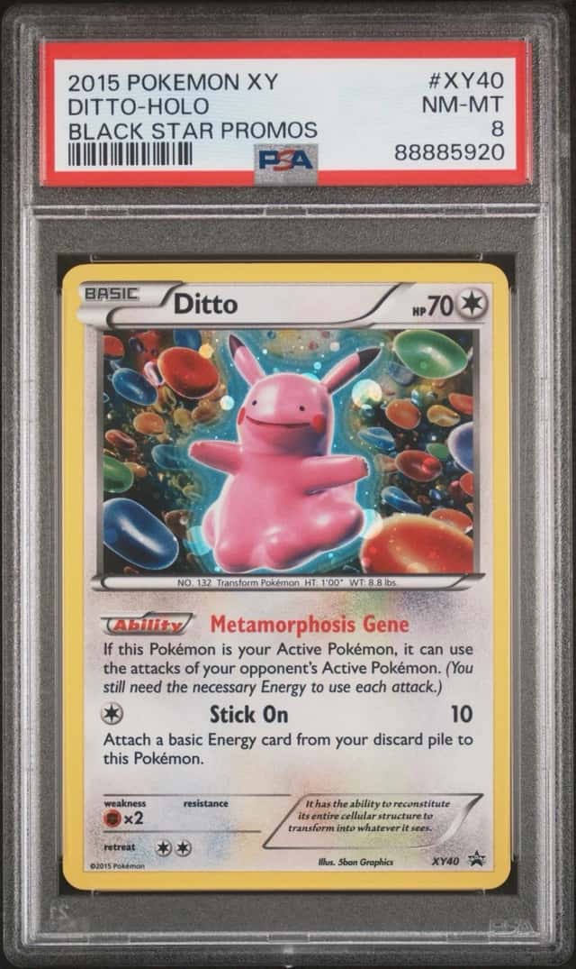 Ditto