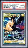 Pikachu & Zekrom Gx