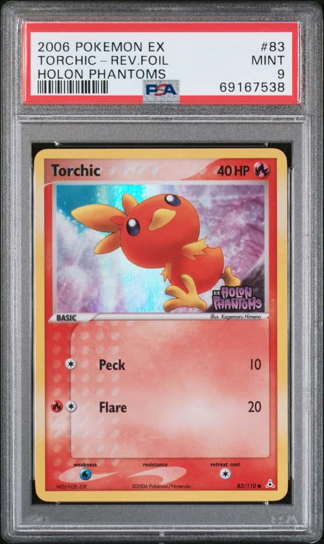 Torchic