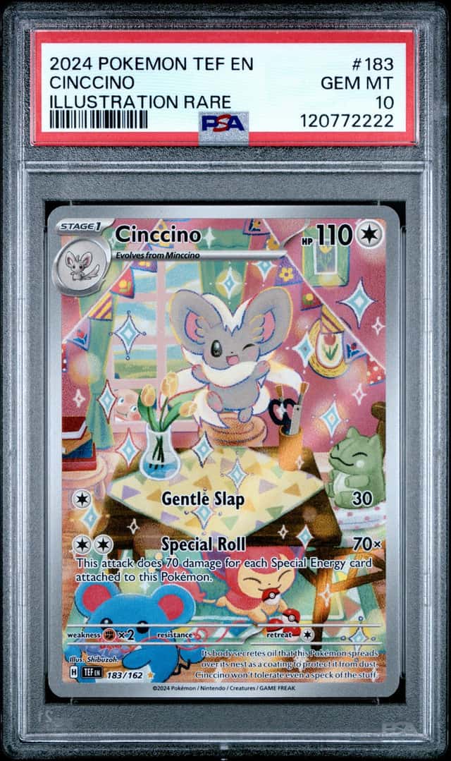 Cinccino