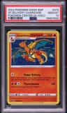 Special Delivery Charizard