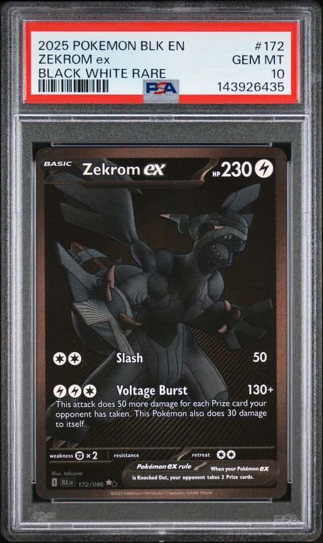 ZEKROM ex