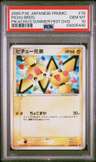 Pichu Bros
