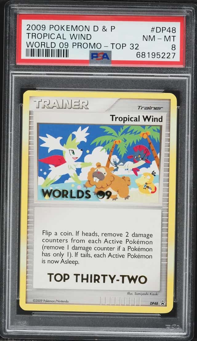 Tropical Wind