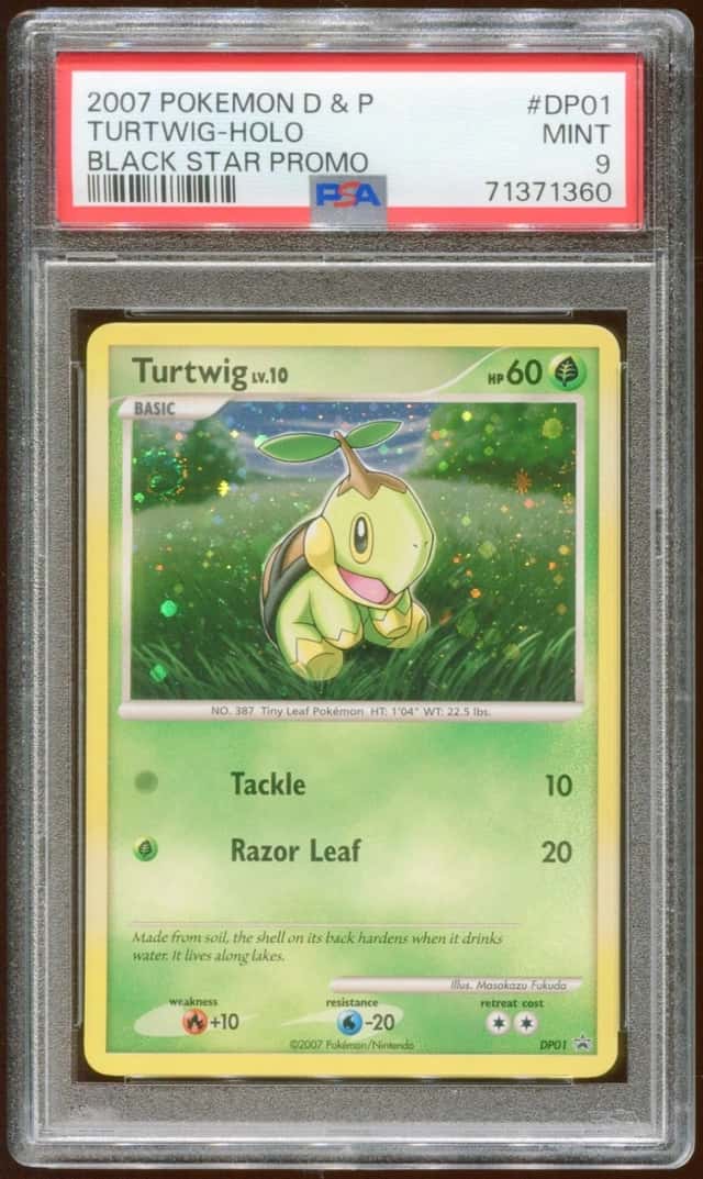 Turtwig