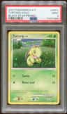 Turtwig