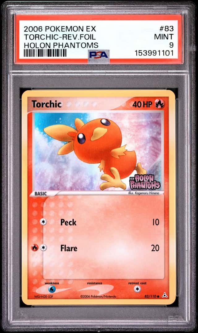 Torchic