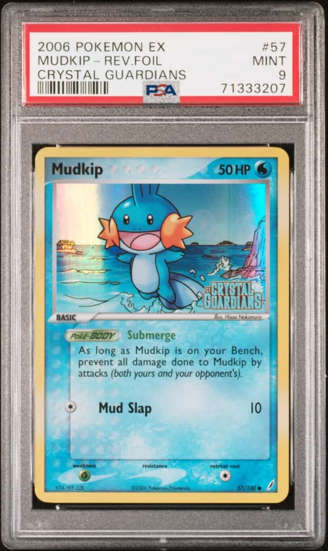 Mudkip