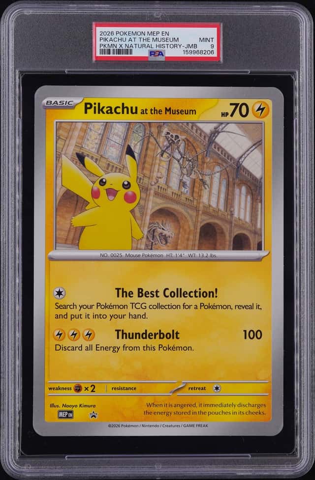 Pikachu At The Museum