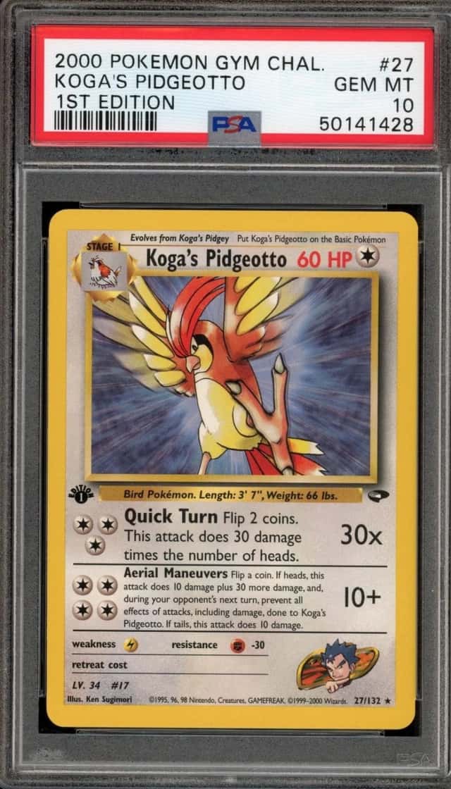 Koga's Pidgeotto