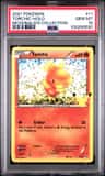 Torchic