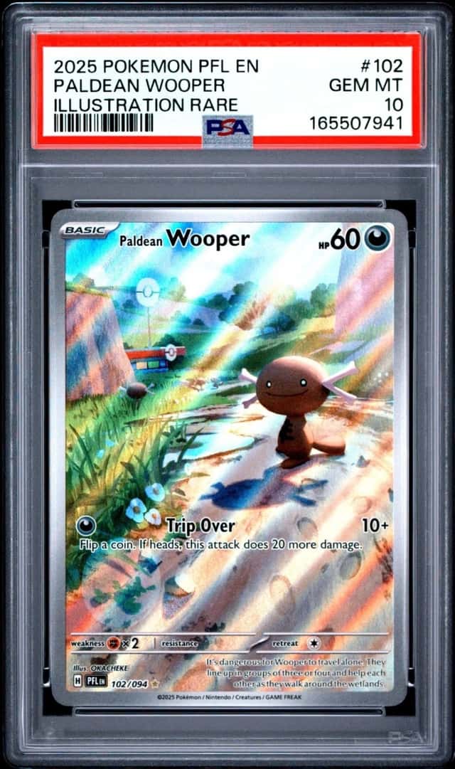 Paldean Wooper