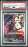 Team Rocket'S Mimikyu