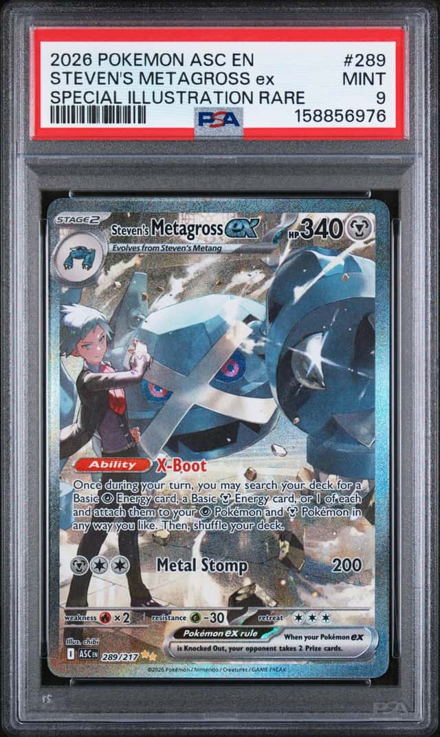 STEVEN'S METAGROSS ex