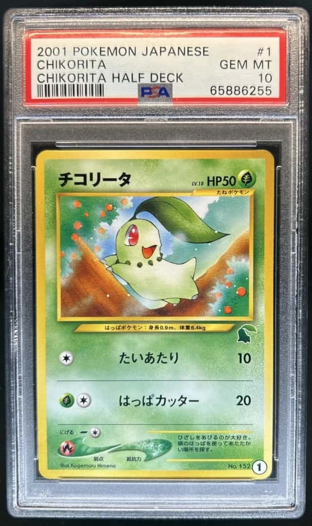 Chikorita