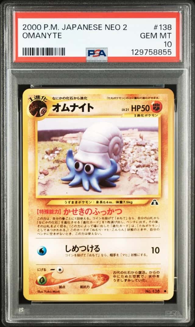 Omanyte