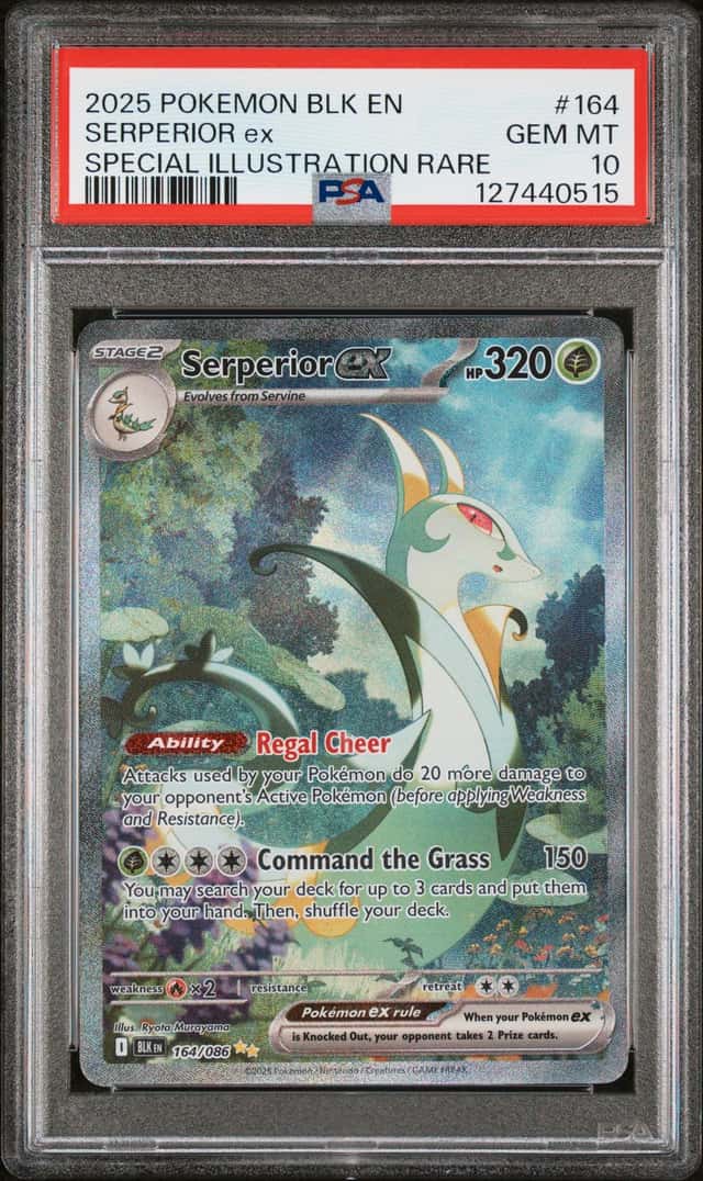 SERPERIOR ex