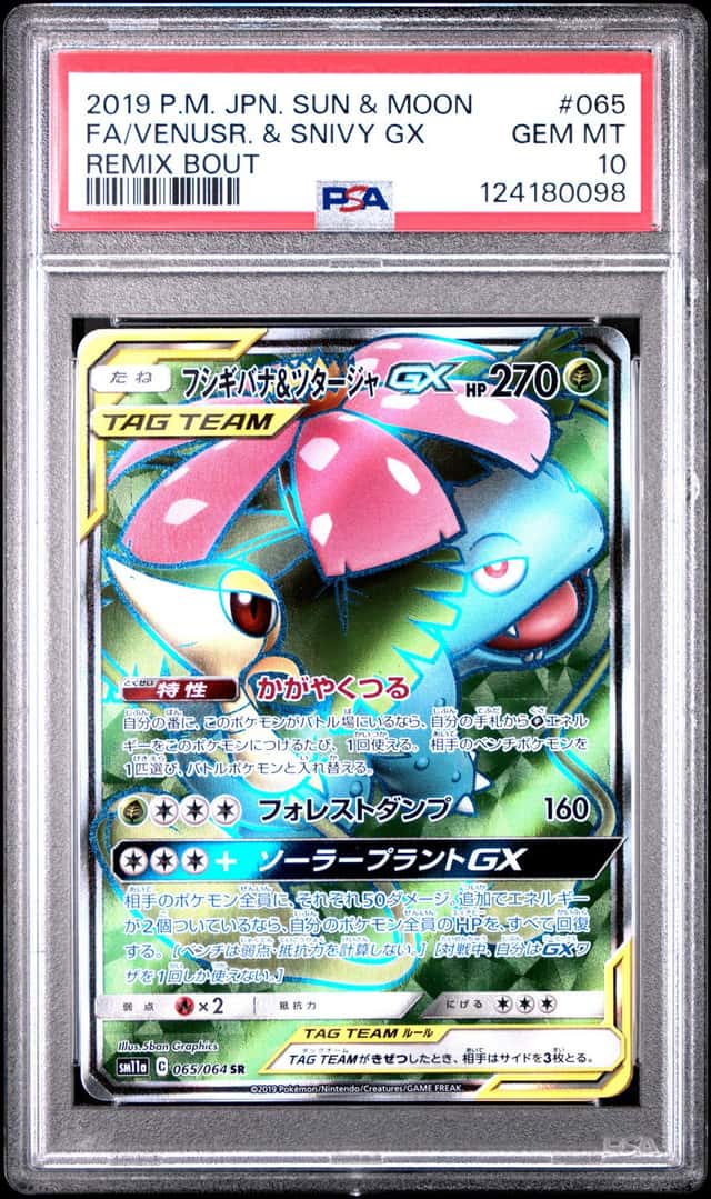 Venusaur & Snivy GX