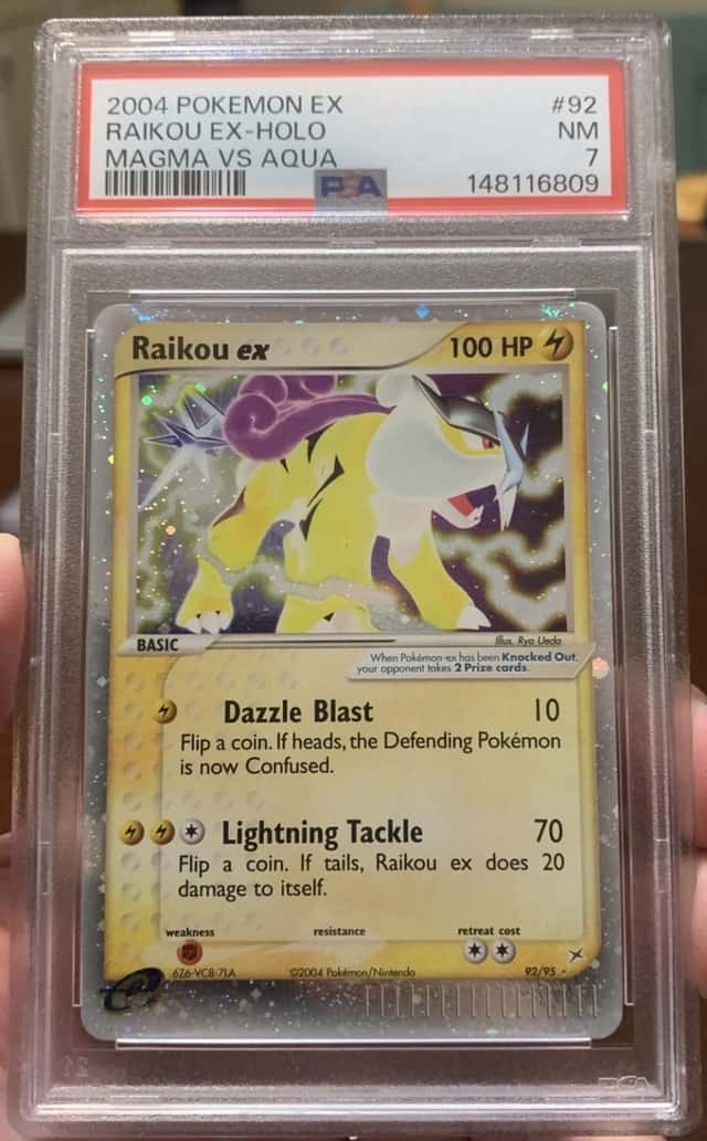 Raikou EX
