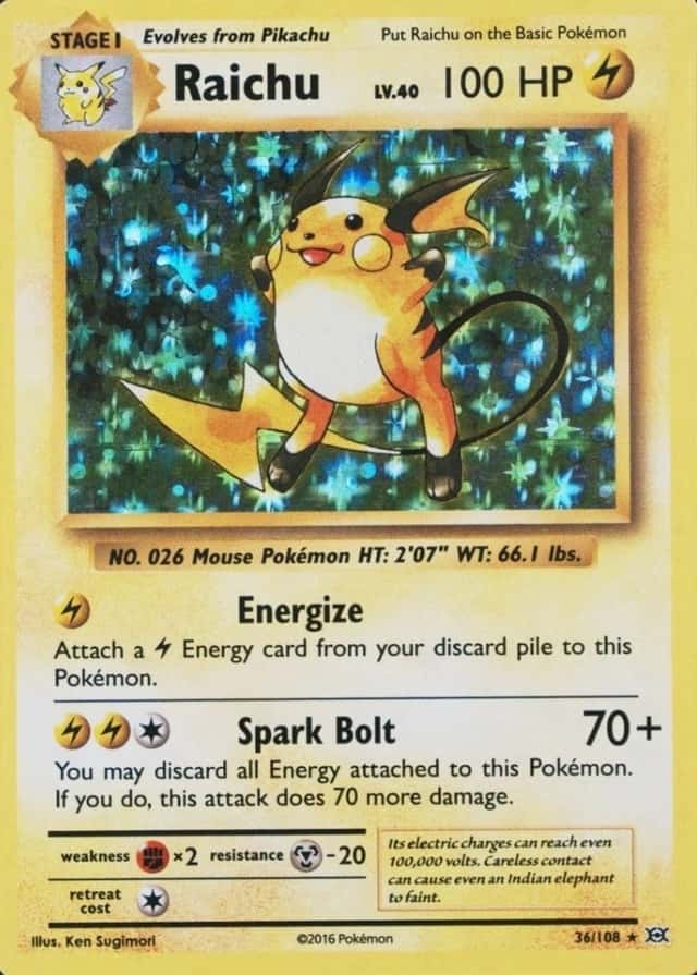 Holo
