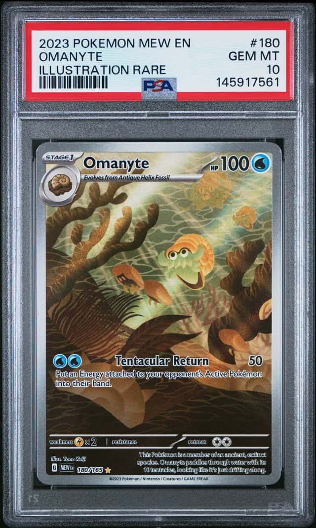 Omanyte
