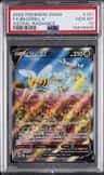 Beedrill V