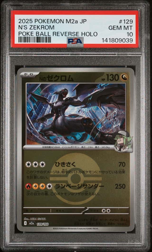 N's Zekrom