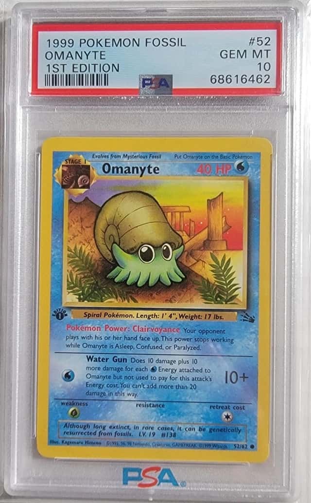 Omanyte