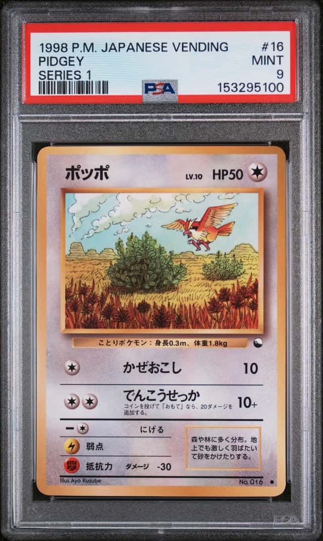 Pidgey