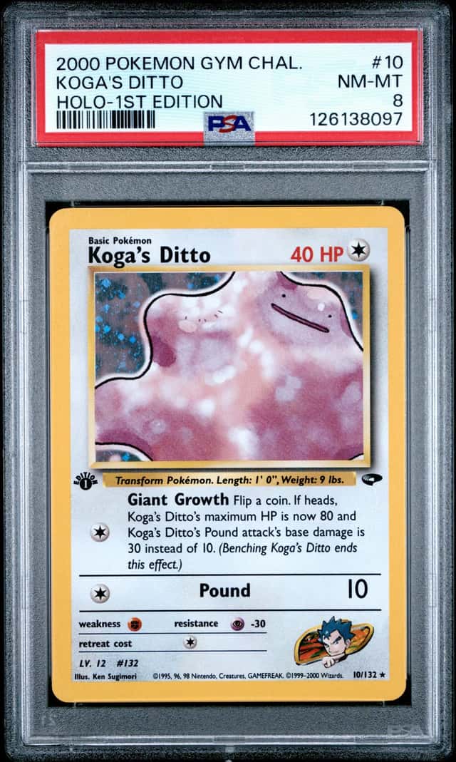 Koga's Ditto