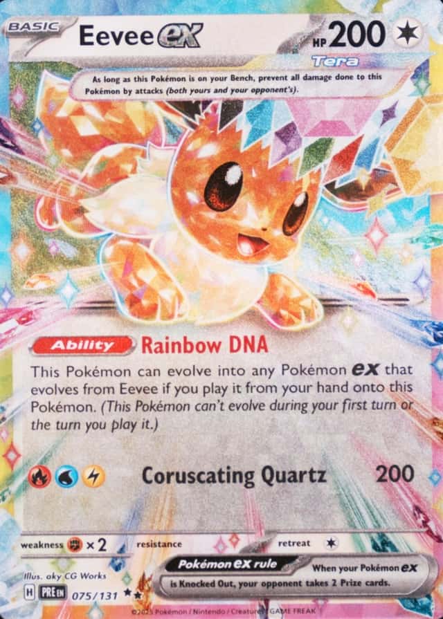Holo