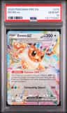 Eevee Ex