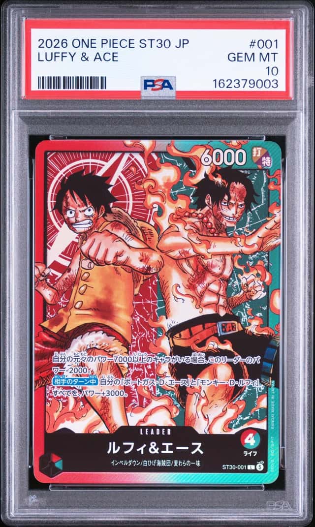Luffy & Ace