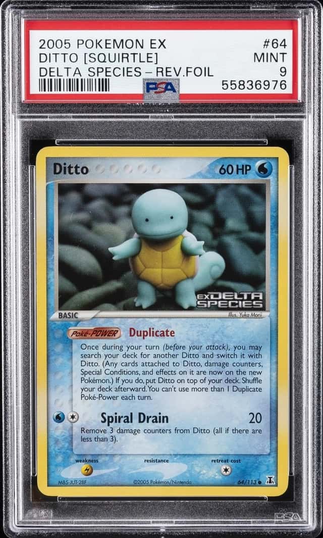 Ditto [Squirtle]