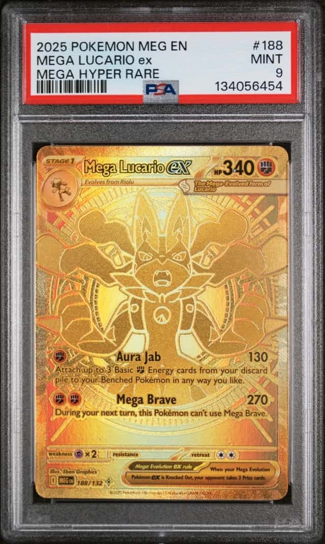 MEGA LUCARIO ex