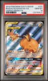 Raichu & Alolan Raichu Gx