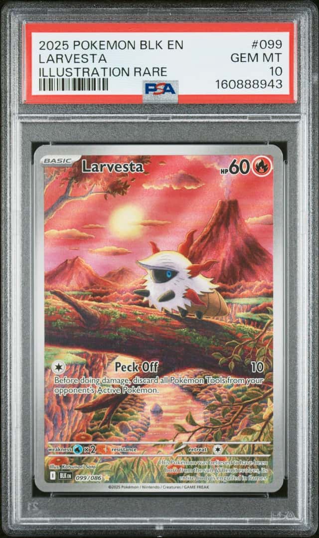 Larvesta