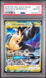 Pikachu & Zekrom Gx