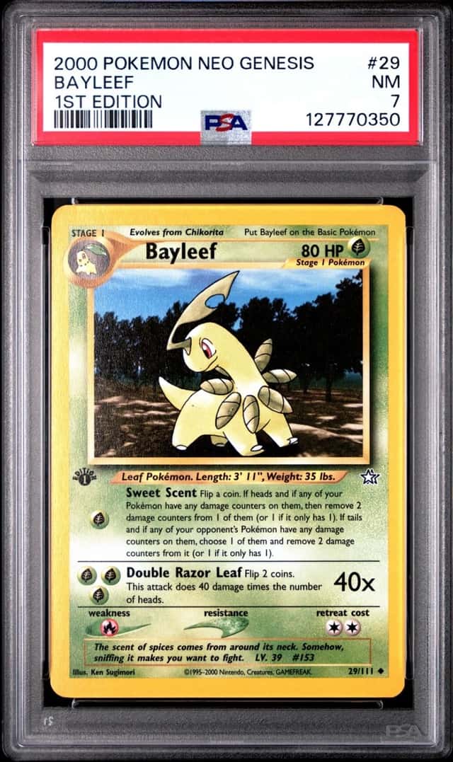 Bayleef