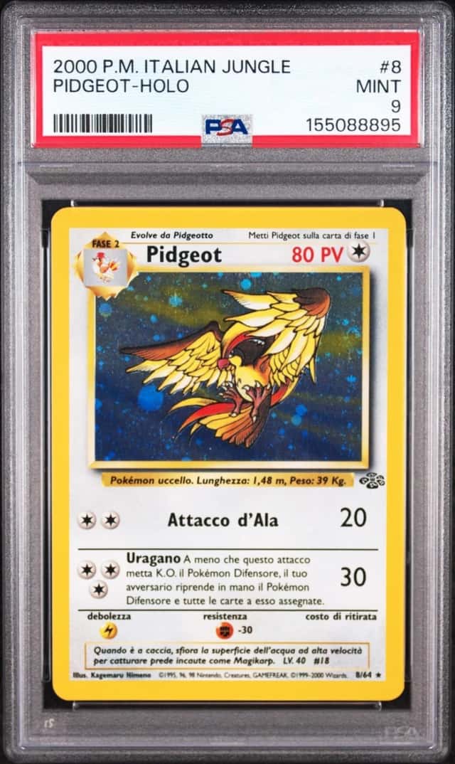 Pidgeot