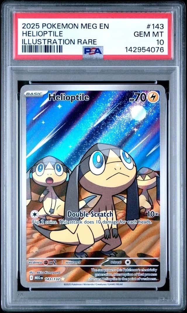 Helioptile