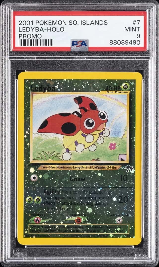 Ledyba