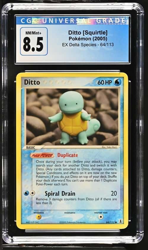 Ditto [Squirtle]